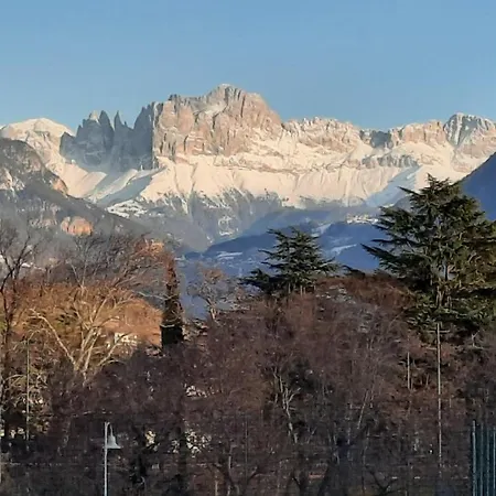 Verdi 43 *